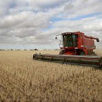 Largest Farmers in Wisconsin